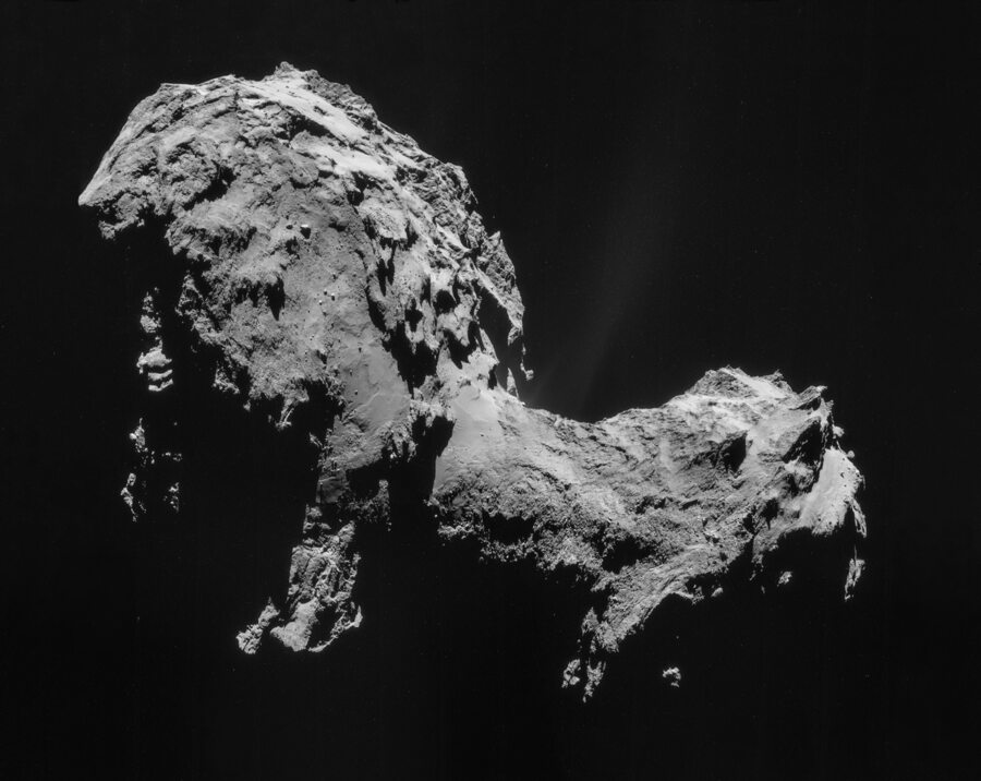 Panspermia: Did Life on Earth Arrive from Space?