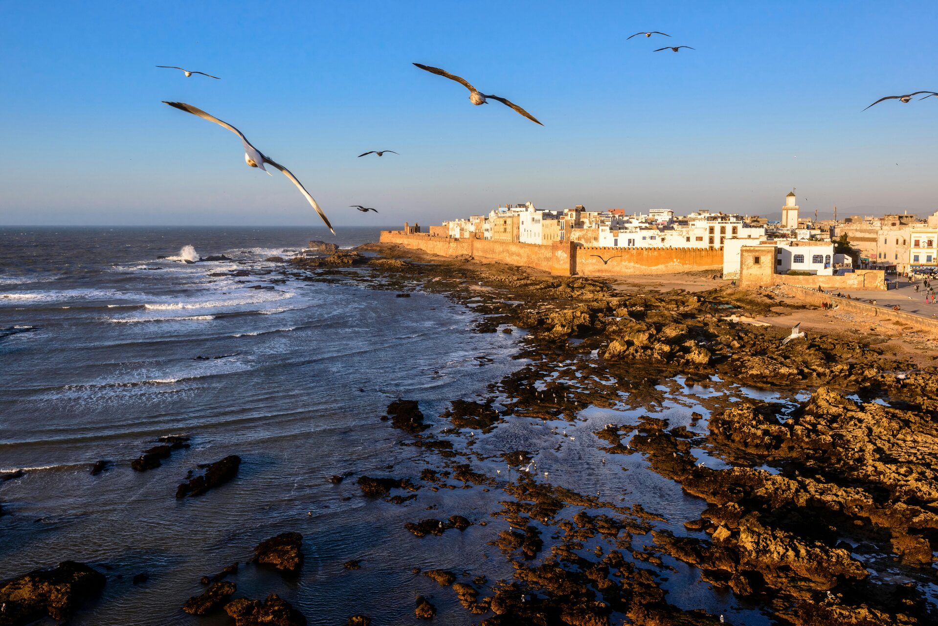 Essaouira Morocco — Atlantic medina with Portuguese ramparts