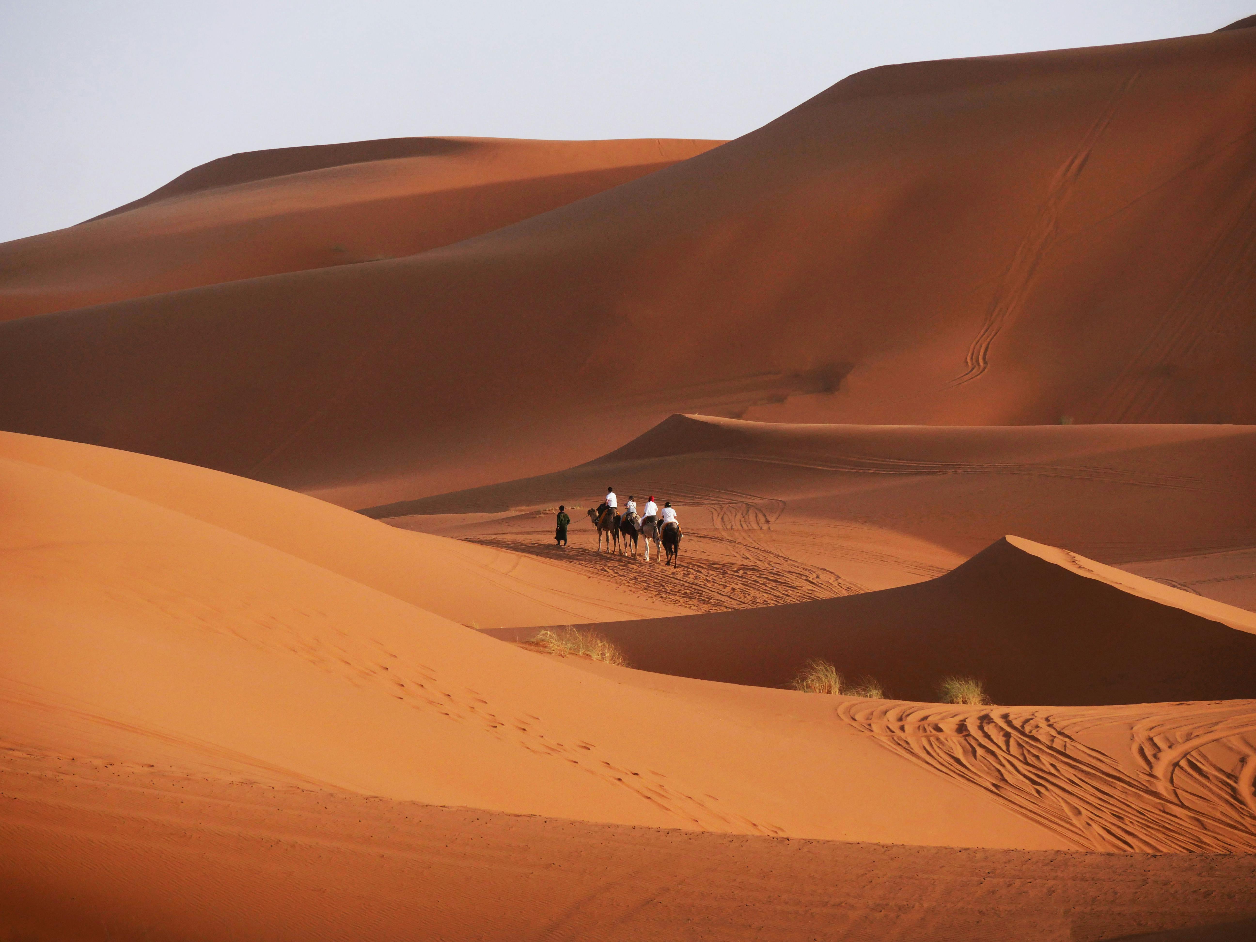 Morocco experiences — Sahara, Atlas Mountains, surf