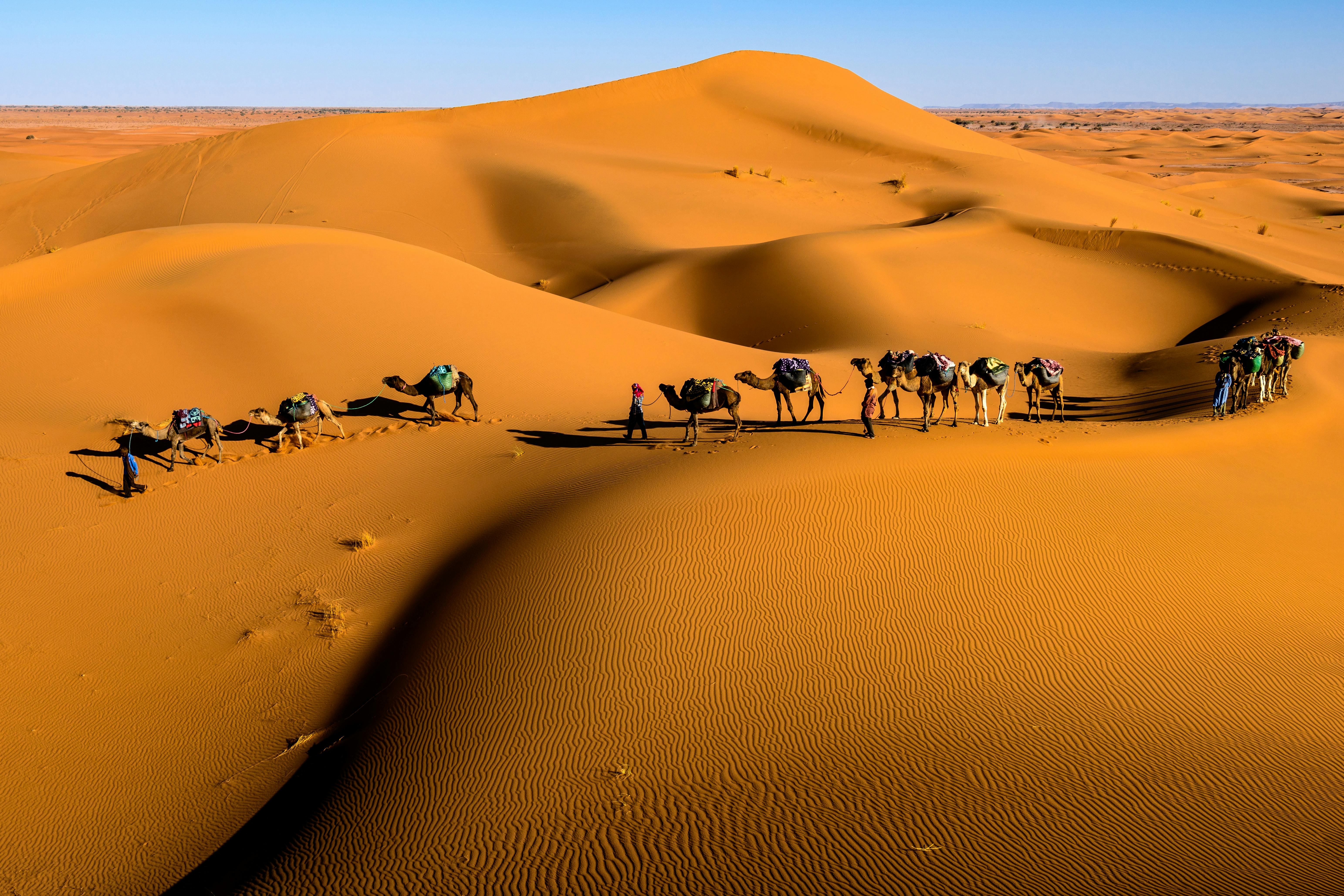 Sahara Desert Morocco — Merzouga, Erg Chebbi, camel treks